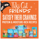 Tiki Cat Friends Wet Cat Food 2.5-oz pouch case of 12 - Cat Food 10