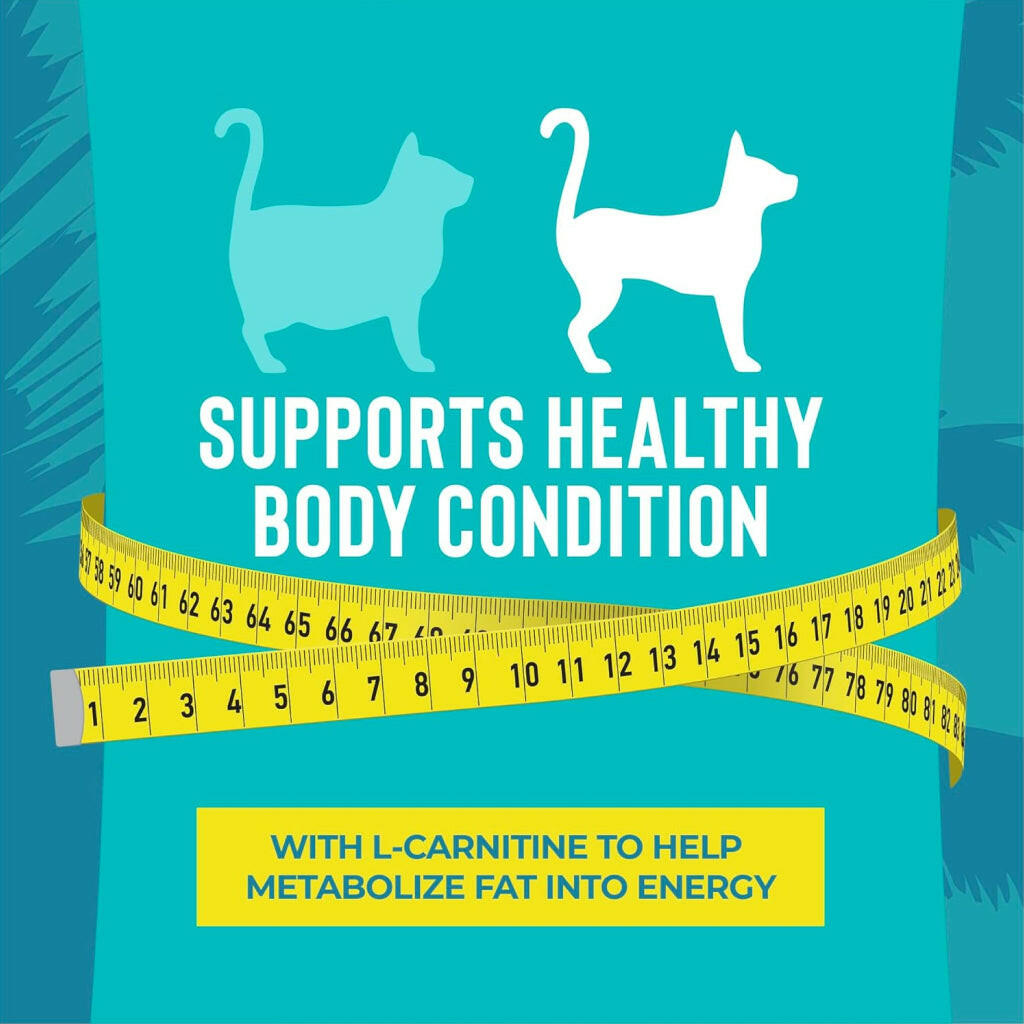 l carnitine for cat weight loss Tiki Cat Luau Lean Gelee Chicken Grain-Free Wet Food For Cats