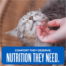 Tiki Cat Silver Comfort Chicken Chicken Liver & Pumpkin Recipe in Broth Low Phosphorus Puree for Cats Age 11+ (6 oz x 6