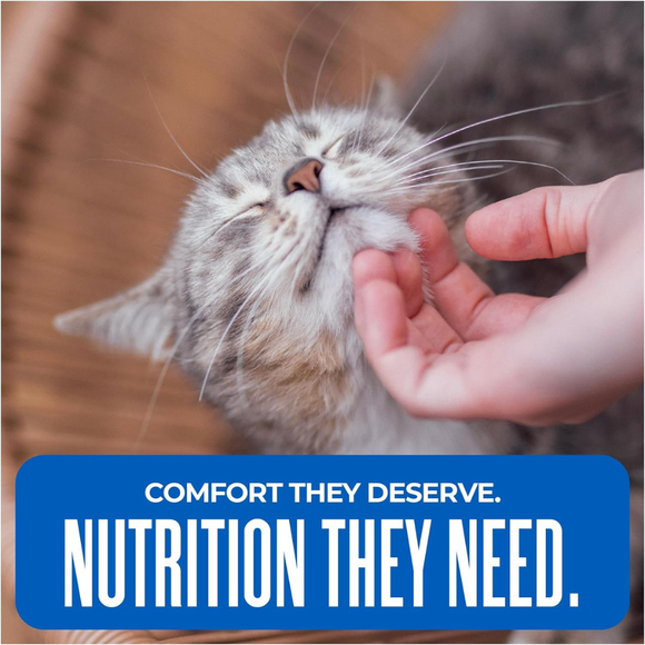 Tiki Cat Silver Comfort Chicken Chicken Liver & Pumpkin Recipe in Broth Low Phosphorus Puree for Cats Age 11+ (6 oz x 6