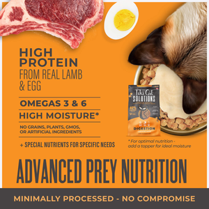 Tiki Cat Solutions Digestion Grain Free Lamb & Egg Dry Cat Food - Cat Food 2