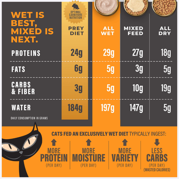 Tiki Cat Solutions Mousse Digestion Chicken & Egg Recipe in Broth Wet Cat Food (2.4 oz x 12 pouches) - Cat Food 4
