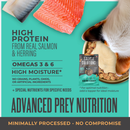 Tiki Cat Solutions Skin & Coat Grain Free Salmon & Herring Recipe Dry Cat Food - Cat Food 2