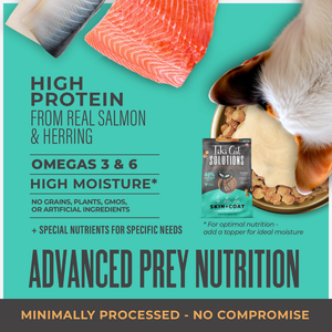 Tiki Cat Solutions Skin & Coat Grain Free Salmon & Herring Recipe Dry Cat Food - Cat Food 2