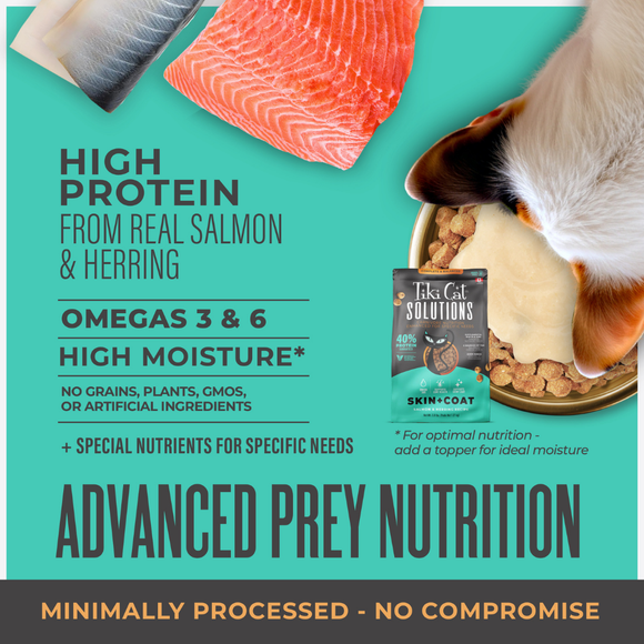 Tiki Cat Solutions Skin & Coat Grain Free Salmon & Herring Recipe Dry Cat Food - Cat Food 2