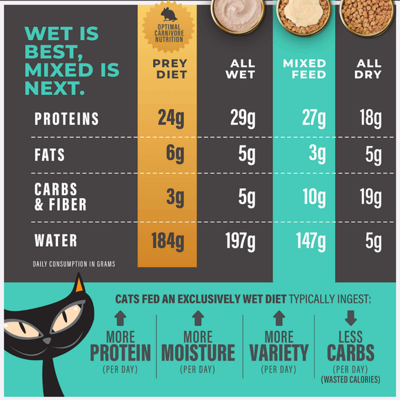 Tiki Cat Solutions Skin & Coat Grain Free Salmon & Herring Recipe Dry Cat Food - Cat Food 4