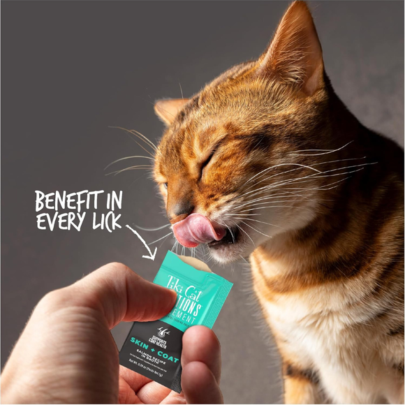Tiki Cat Solutions Supplement Skin & Coat Salmon Recipe in Broth for Cats (0.28 oz x 20 Sachets) - Cat Food 6
