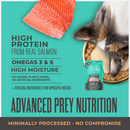 Tiki Cat Solutions Topper + Function Skin & Coat Salmon Recipe in Broth Food Topper for Cats (1.5 oz x 12 pouches)