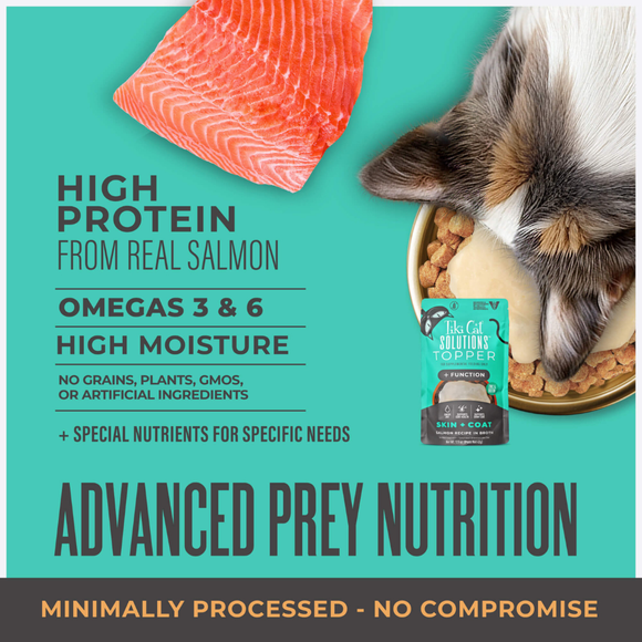 Tiki Cat Solutions Topper + Function Skin & Coat Salmon Recipe in Broth Food Topper for Cats (1.5 oz x 12 pouches)