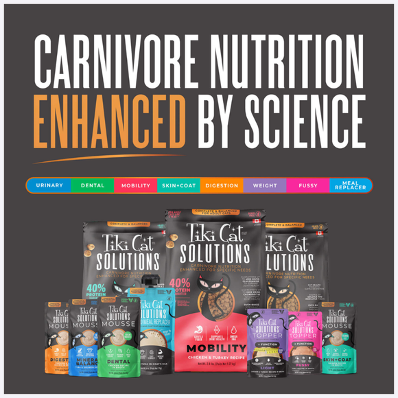 Tiki Cat Solutions Topper + Function Skin & Coat Salmon Recipe in Broth Food Topper for Cats (1.5 oz x 12 pouches)