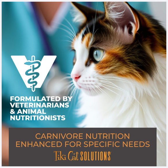 Tiki Cat Solutions Topper + Function Skin & Coat Salmon Recipe in Broth Food Topper for Cats (1.5 oz x 12 pouches)