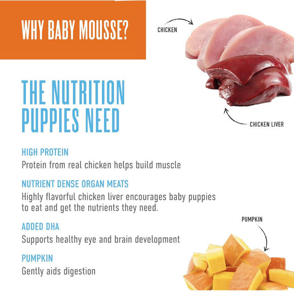 Tiki Dog Baby Mousse Wet Food for Dogs (3 oz x 12 pouches) - Dog Food 2