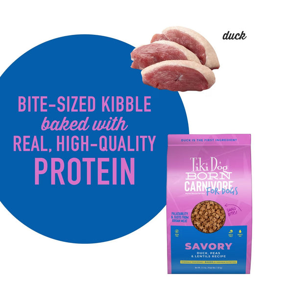 Tiki Dog Born Carnivore Dry Dog Food 3.5-lb - Dog Food 13