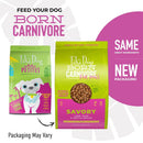 Tiki Dog Born Carnivore Dry Dog Food 3.5-lb - Dog Food 8