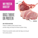 Tiki Dog Born Carnivore Protein Booster Food Topper for Dogs (2.1 oz x 12 pouches) - Dog Food 8