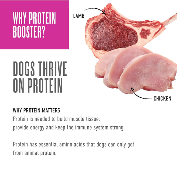 Tiki Dog Born Carnivore Protein Booster Food Topper for Dogs (2.1 oz x 12 pouches) - Dog Food 8