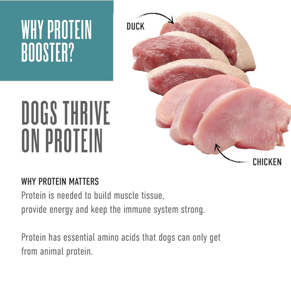 Tiki Dog Born Carnivore Protein Booster Food Topper for Dogs (2.1 oz x 12 pouches) - Dog Food 34
