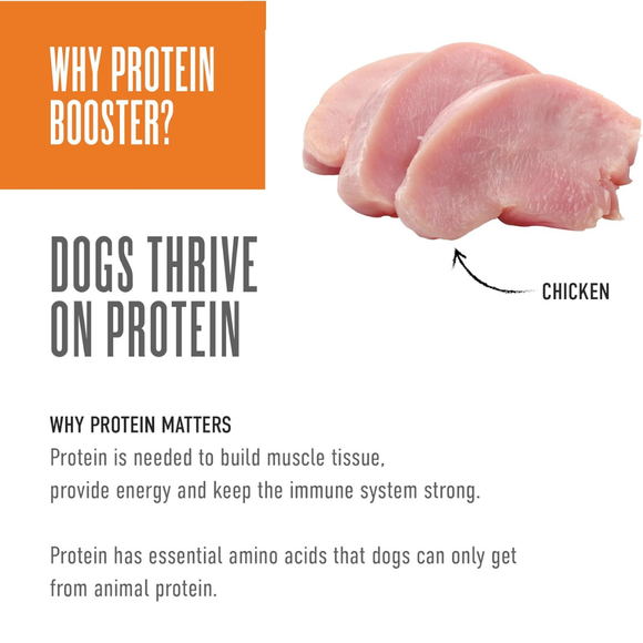 Tiki Dog Born Carnivore Protein Booster Food Topper for Dogs (2.1 oz x 12 pouches) - Dog Food 26