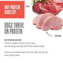 Tiki Dog Born Carnivore Protein Booster Food Topper for Dogs (2.1 oz x 12 pouches) - Dog Food 17
