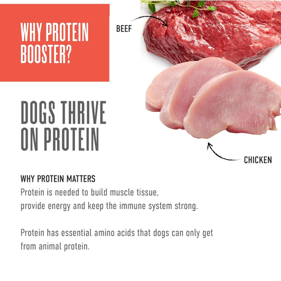 Tiki Dog Born Carnivore Protein Booster Food Topper for Dogs (2.1 oz x 12 pouches) - Dog Food 17