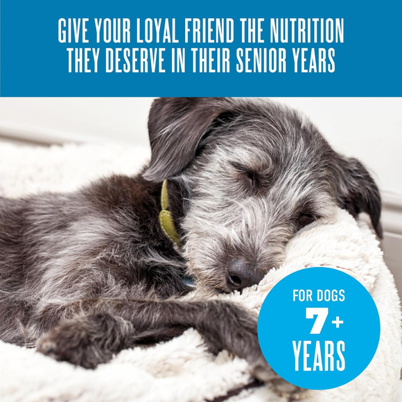 Tiki Dog Senior Mousse Chicken Beef & Pumpkin Recipe in Broth Wet Food for Dogs (3.5 oz x 12 pouches) - Dog Food 3
