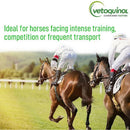 Tomlyn Epic Daily Support Supplement For Horse (2 kg)