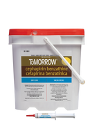 Tomorrow (Cephapirin Benzathine) Dry Cow Mastitis Treatment - 144 Syringes - Pet Medicine 3