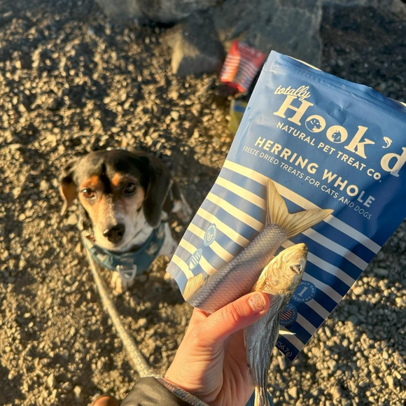 Totally Hook’d Freeze-Dried Herring Dog & Cat Treats (2 oz) - Dog & Cat Treats 4