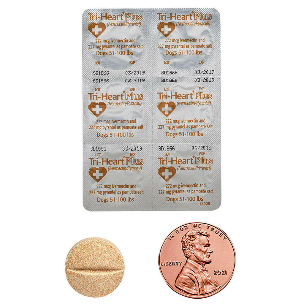Tri-Heart Plus Chewable Tablet for Large Dogs | 51-100 lbs