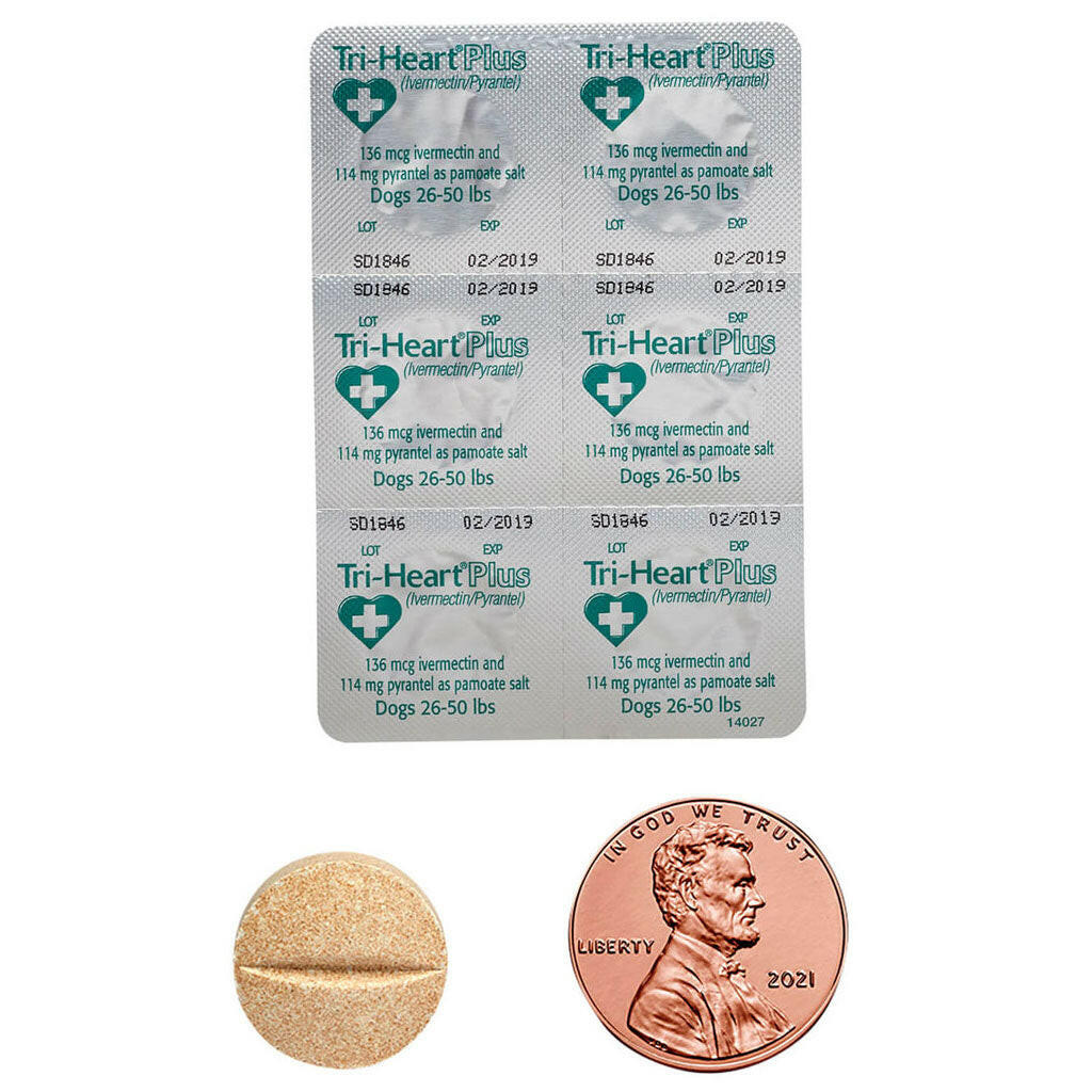 Tri Tablet Tri-Heart Plus Chewable Tablet for Medium Dogs | 26-50lbs | Rx