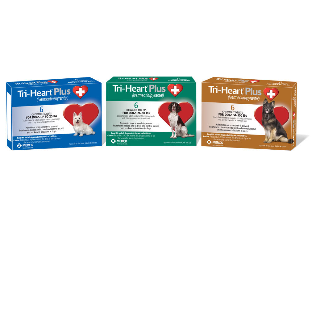 Tri Heart Ranges Tri-Heart Plus Chewable Tablet for Medium Dogs | 26-50lbs | Rx
