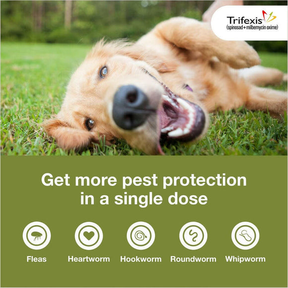 Trifexis for Dogs 10.1-20 lbs pest protection