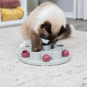 Trixie Cat Activity Pentagon Interactive Cat Toy - Cat Toys 2