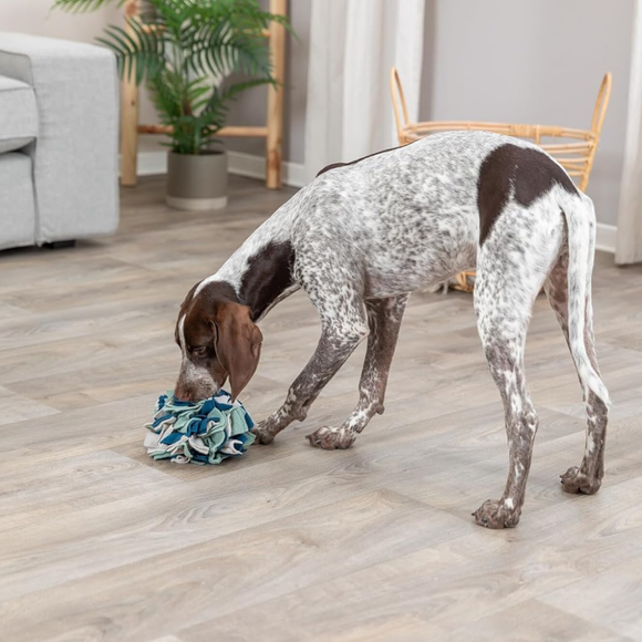 Trixie Dog & Cat Activity Snuffle Ball - Cat Toys 3