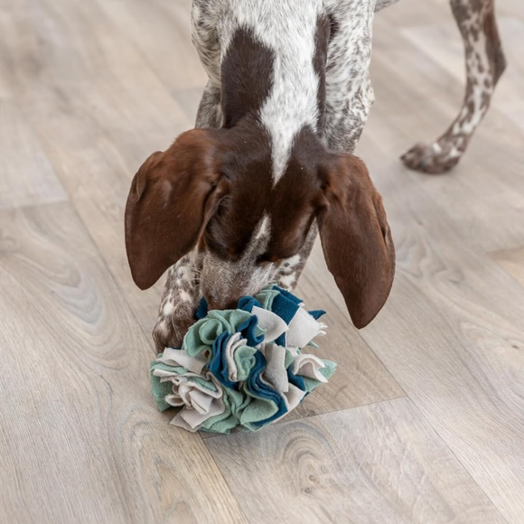 Trixie Dog & Cat Activity Snuffle Ball - Cat Toys 5