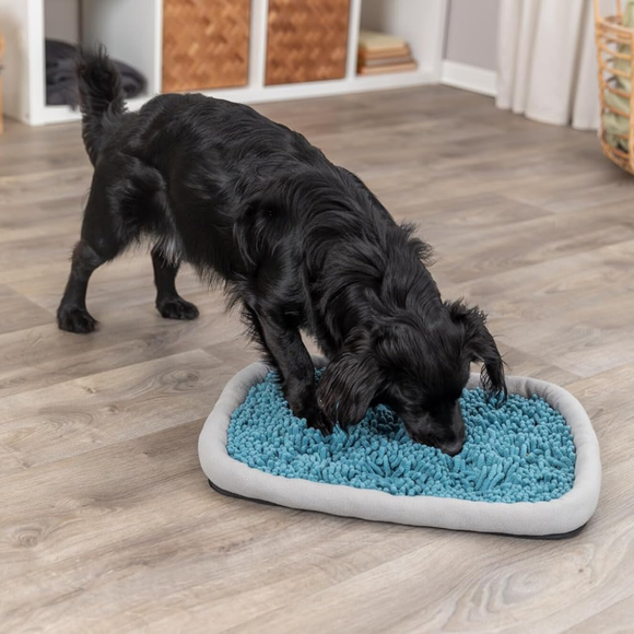 Trixie Dog & Cat Activity Snuffle Plate - Cat Toys 2