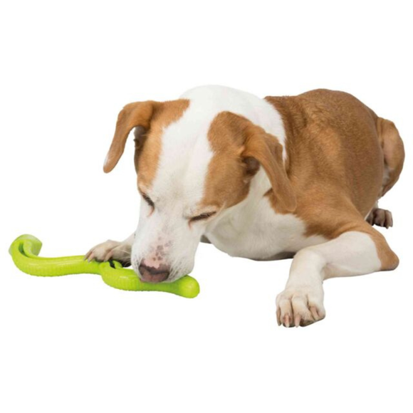 Trixie Dog Snack Snake Interactive Dog Toy Assorted Colors - Dog Toys 9