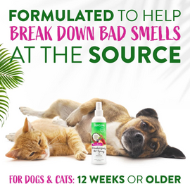 Tropiclean Berry Breeze Deodorizing Spray for Pets (8 oz) - Pet Supplies 2