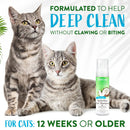TropiClean Dander Reducing Waterless Cat Shampoo (7.4oz)