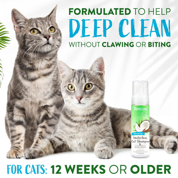 TropiClean Dander Reducing Waterless Cat Shampoo (7.4oz)