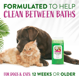 Tropiclean Deep Cleaning Berry & Coconut Deodorizing Pet Wipes (100 ct) - Pet & People Cleaning Supplies 2