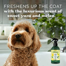 TropiClean Essentials Yuzu Fruit Deodorizing Spray For Dogs (8 oz)
