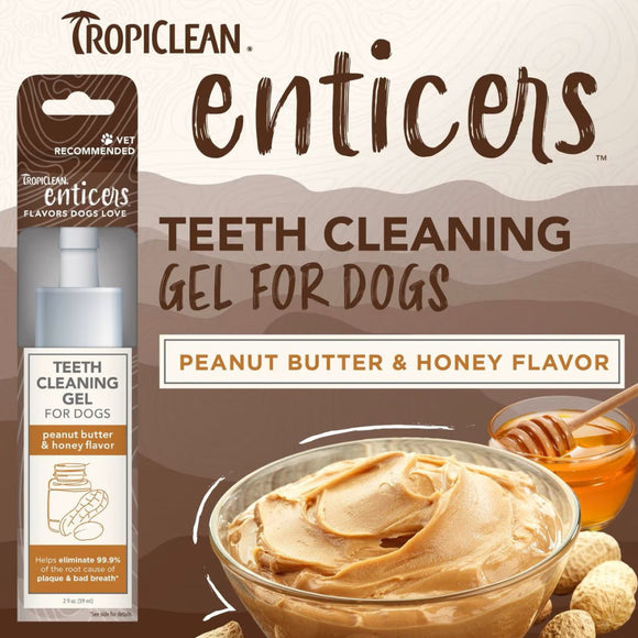 TropiClean Fresh Breath Enticers Peanut Butter & Honey Tartar Control Teeth Clean Gel For Dog (2 oz)