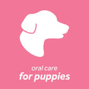 TropiClean Fresh Breath Dental Health Solution for Puppies (16 -oz)