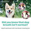 Tropiclean Fresh Breath Oral Care Kit For Dogs (Large)