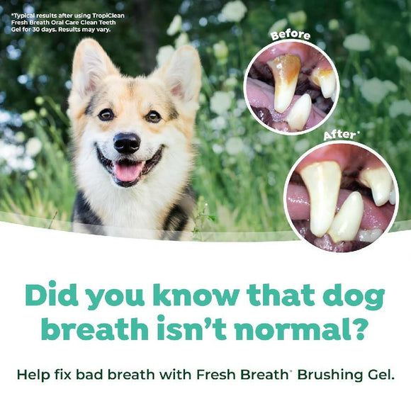 Tropiclean Fresh Breath Oral Care Kit For Dogs (Large)