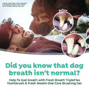 TropiClean Fresh Breath Triple Flex Toothbrush for Large Dogs - Dog Dental Care 6