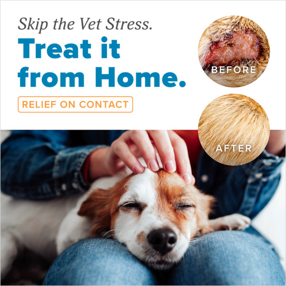TropiClean HomeVet Hot Spot Skin Relief Cream for Dogs - Treat it from Home