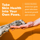 TropiClean HomeVet Hot Spot Skin Relief Cream for Dogs - quickly relieves - severe hot spots, yeast, infections, bacterial growth, open wound