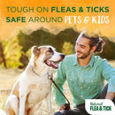 Tropiclean Natural Flea & Tick Shampoo Maximum Strength For Dogs 20 oz - Dog Flea Shampoos & Sprays 12